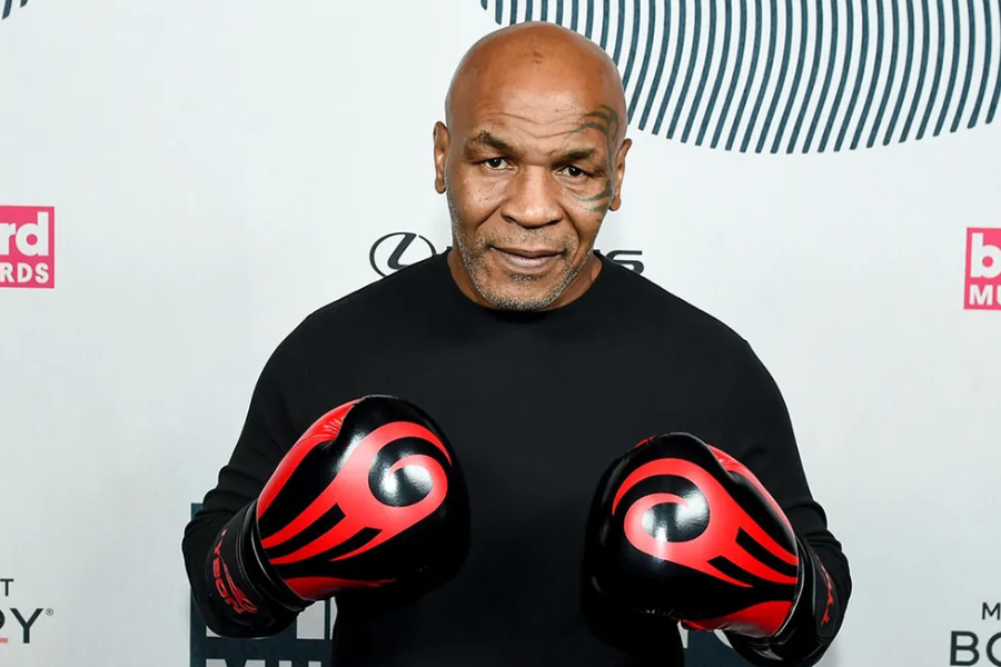 mike tyson net worth