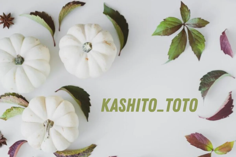 kashito_toto